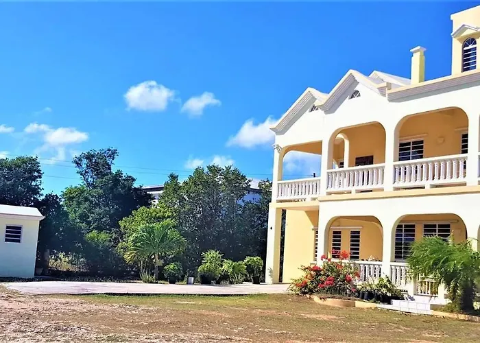 Island Paradise