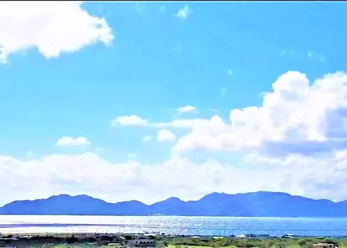 Island Paradise
