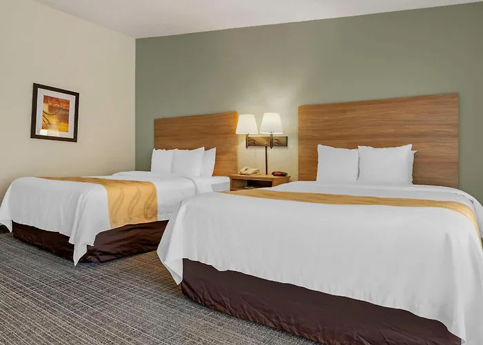 Cheap hotel: Quality Inn & Suites Nrg Park - Medical Center