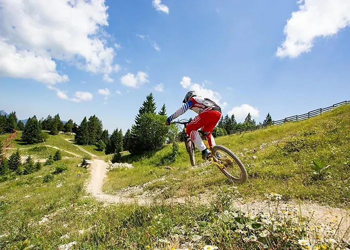 Studio  Le petit montagnard 