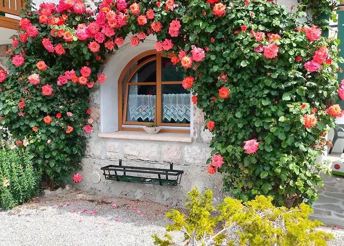 Hotel adatto agli animali: Villa Aprica Appartamenti