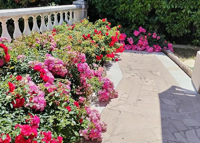 Hôtel accueillant les animaux: La Villa des Ames Liées