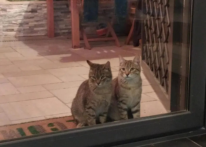 La villa: Casa del ViAndante