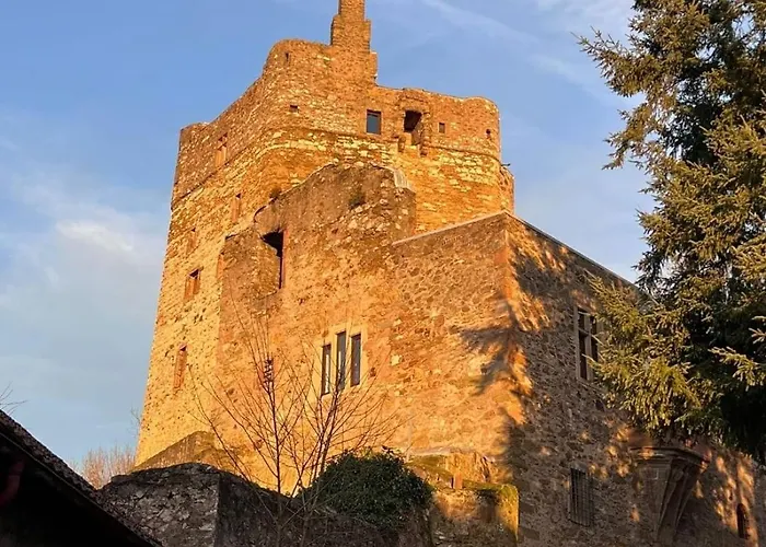 Burg Hermannstein - Kings Room