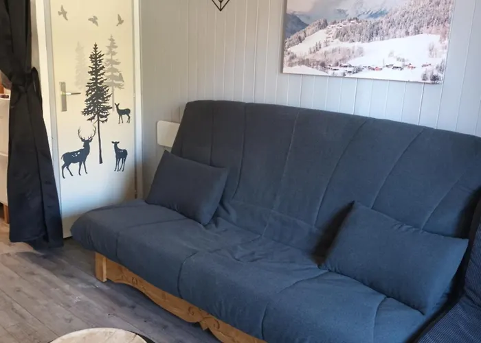 Studio 2 alpes, ménage inclus, balcon, parking, proche lac