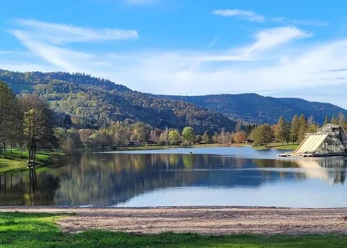Le ruisseau du Bâmont