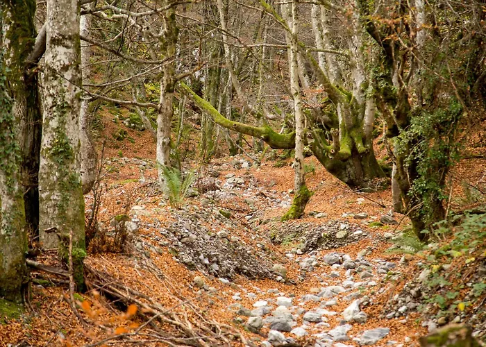 El Torreón - Las Casas del Oso