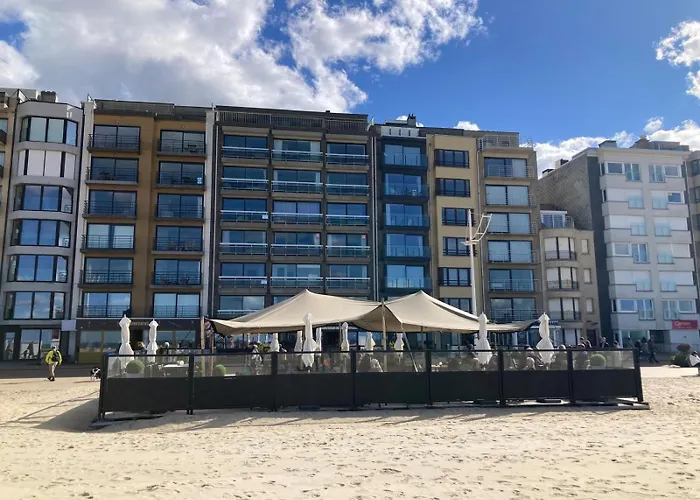 Zicht Op Zee Koksijde