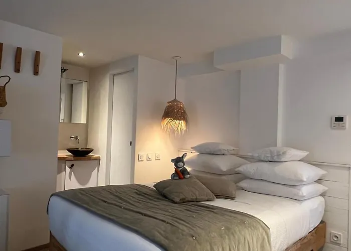 Le Refuge de l'Âne Carotte Aubagne-Cassis-Aix en Provence
