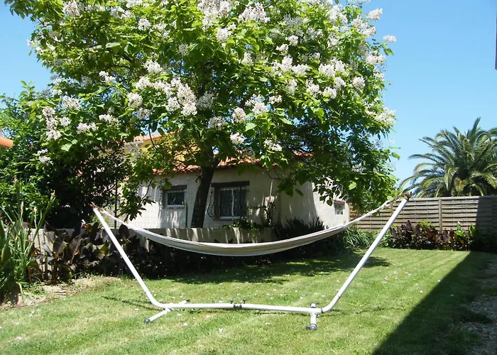66m2 ok animaux chéques vacances 2ch wifi 2km mer soleil catalan