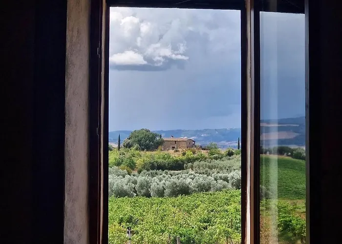 Luce di Vino