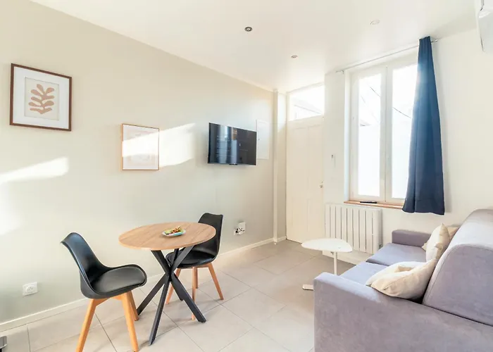 Appartement T2 moderne cosy et climatisé à proximité du centre ville de lyon