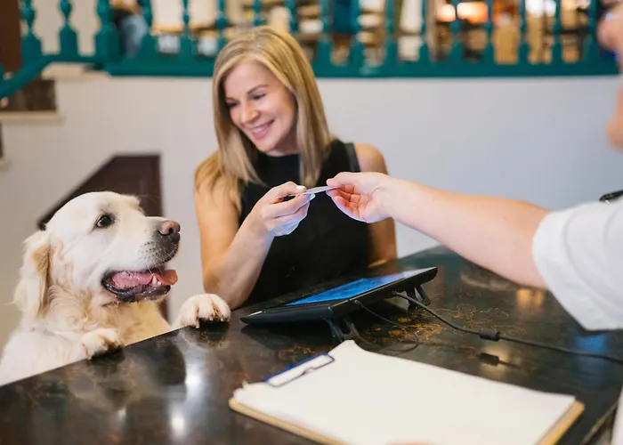 Hotel familiar: Hotel San Miguel