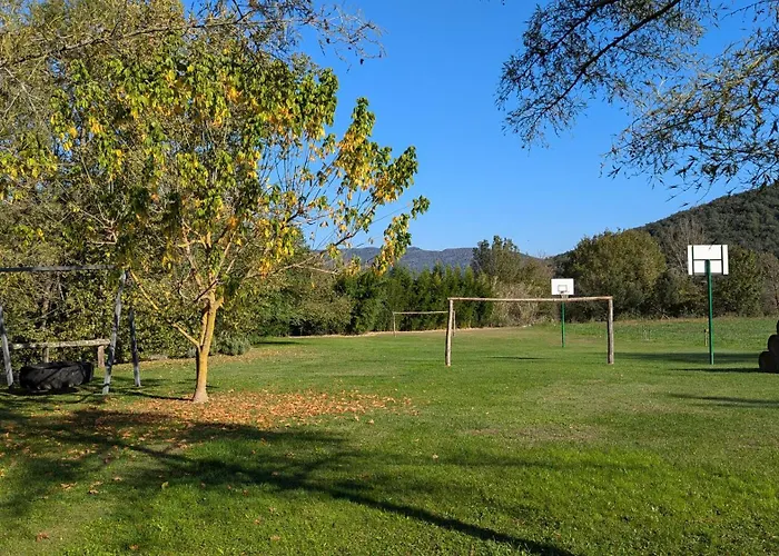 Perros hoteles Mas El Carrer