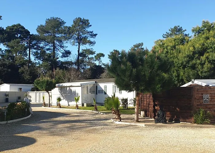 Gîte 2 à 4 pers proche du zoo de La Palmyre ouvert toute l'année