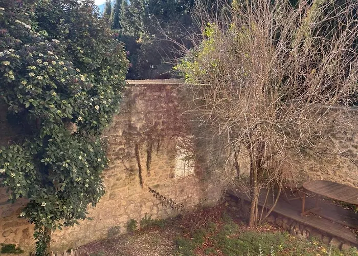 Le Cerisier au cœur d'Uzès