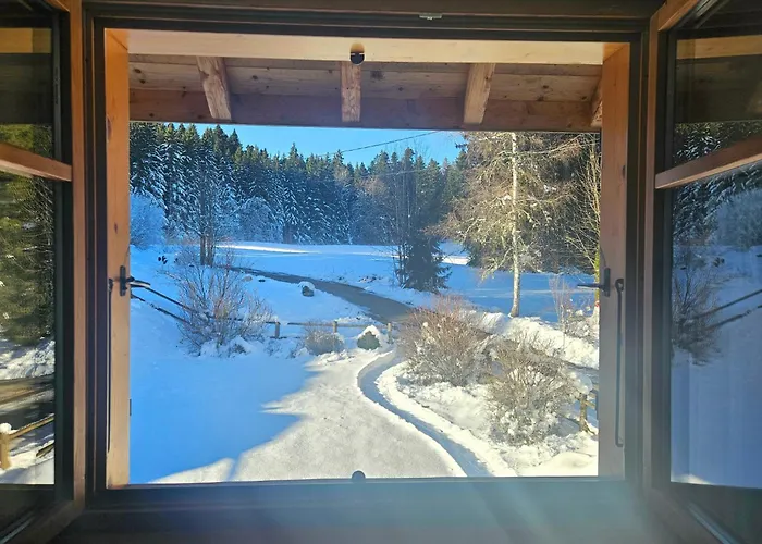 Maison au cœur de la forêt