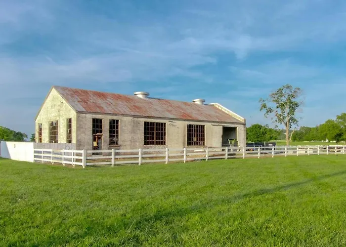 Spacious 3 Bedroom Historic Franklin Quadplex
