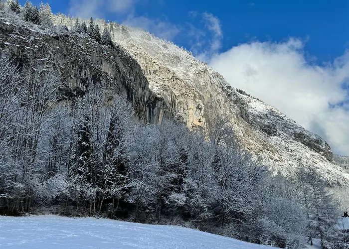 Joli appartement type chalet : balcon et belle vue