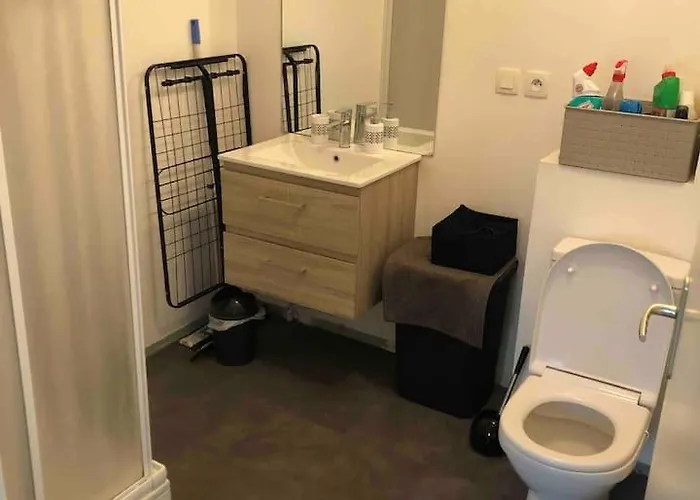 Appartement 2 Pieces A Saint Rene