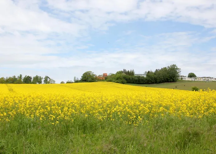 Antje Ferienwohnung 10 Mit Gratis Sauna- Und Schwimmbadnutzung Im AHOI Sellin
