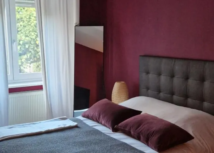 Cosy Appartement Complet centre-ville Montbéliard