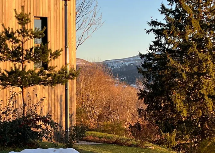 L'Avancée Chalet contemporain au coeur du Sancy AUVERGNE