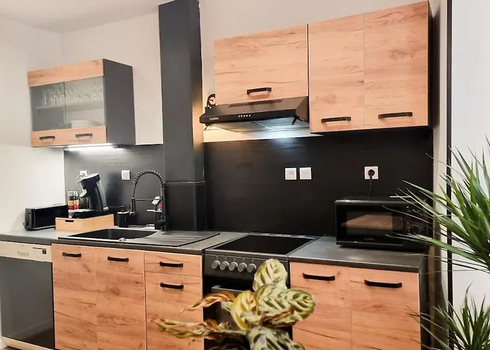 Bel appartement proche Annecy Aix-les-bains Genève