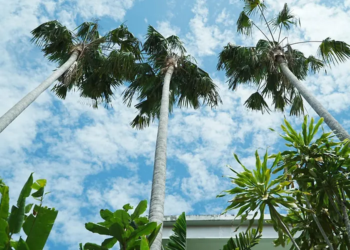 Forena Seminyak