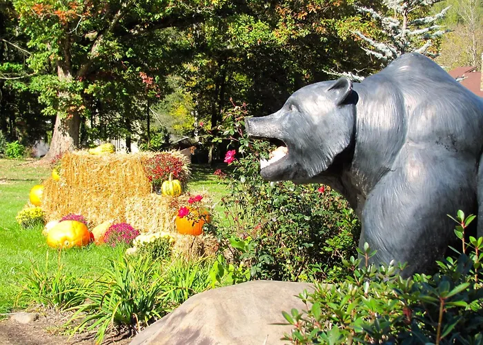 3 star hotel: Brookside Lodge - Gatlinburg - On The River