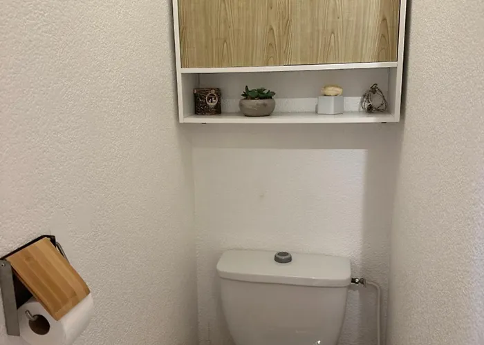 Superbe appartement à 50m des pistes parking privé