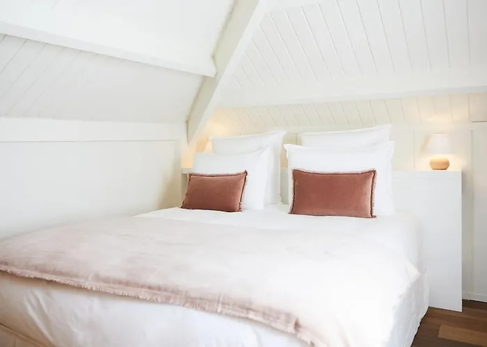 Appartement luxueux