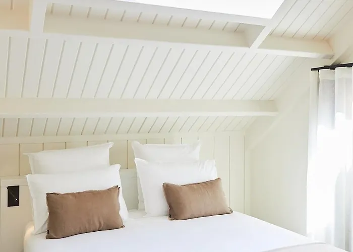 Appartement Luxueux