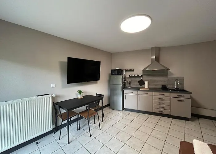 T2 Chaleureux logement a Thann