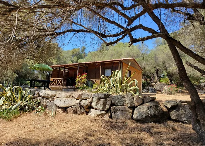 Chalet Cosy - U Nestru
