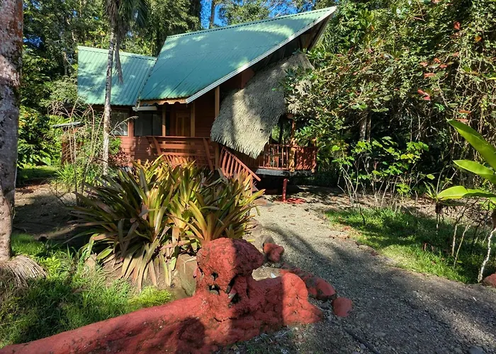 Tree House Beachfront