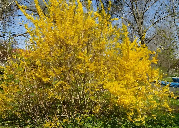 Gästehaus Fischerhäusle