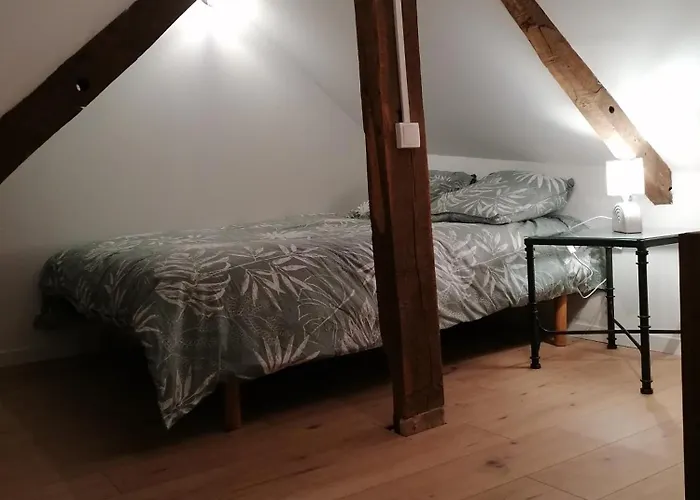 Bel Appartement En Plein Centre