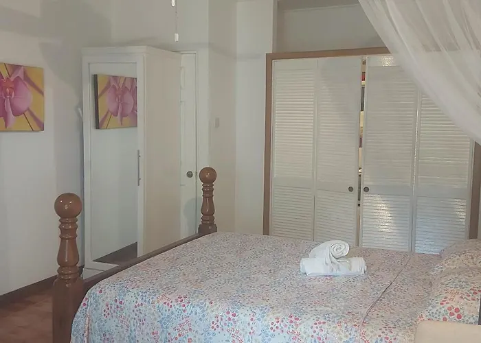 Budget-Friendly Studio