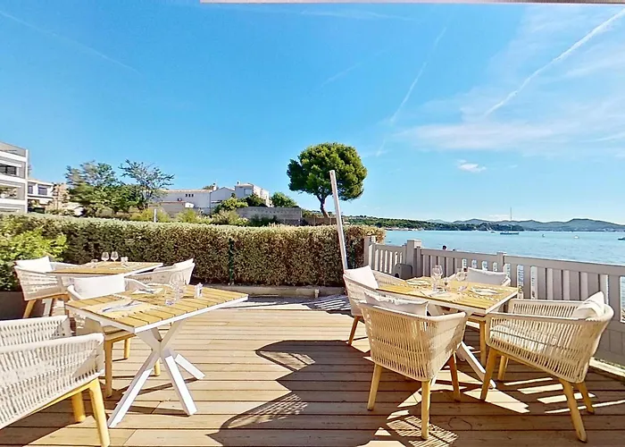 Hôtel accueillant les animaux: Hotel Spa Plage St Jean