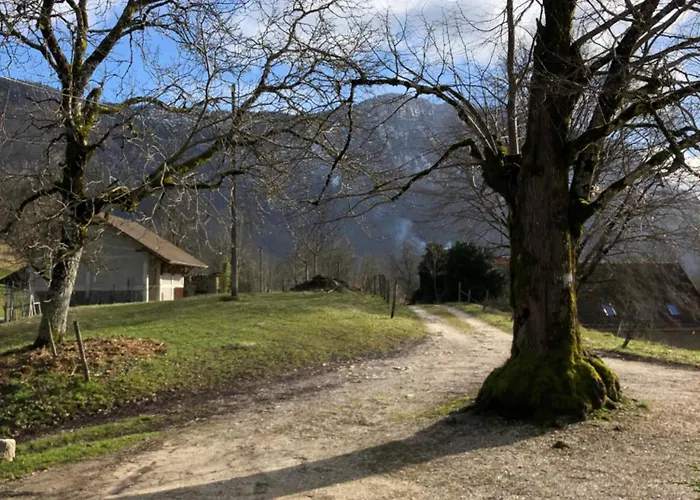 Gite La Grange sur les Bois