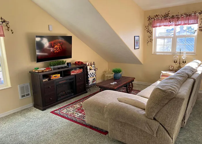 Octopus Suite