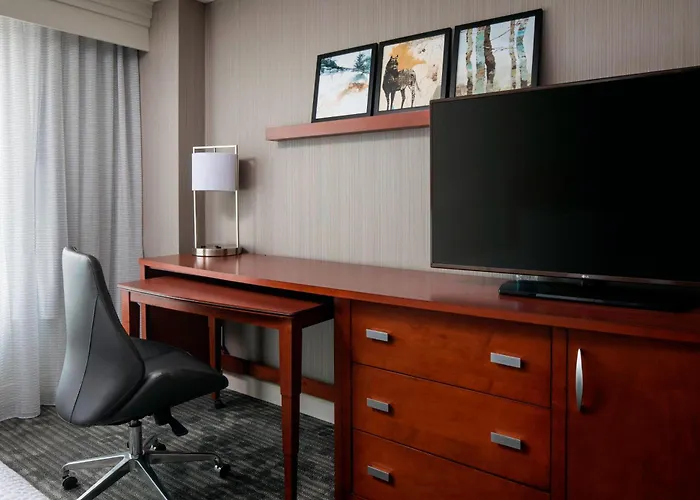 Pets Allowed Hotel Courtyard By Marriott Denver Airport