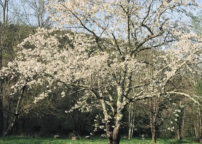 gite la bergerie en bord d'Aveyron
