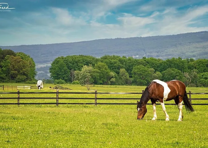Letchworth Farm Guesthouses