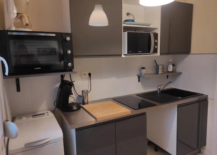 Appartement (jardin clos et privatif)