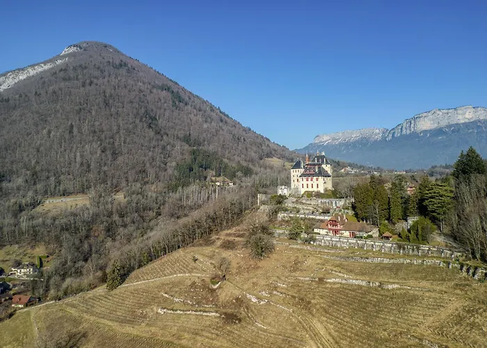 Les Coteaux du Chateau - OG IMMO
