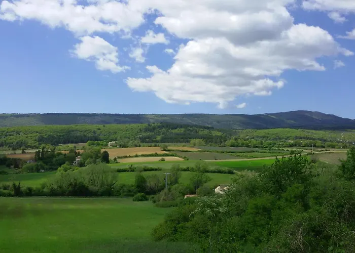 LE GRAIN DE LAVANDE - Mont Ventoux