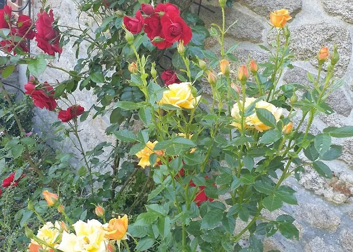 Maison De Charme Avec Jardin-Calme- Fibre