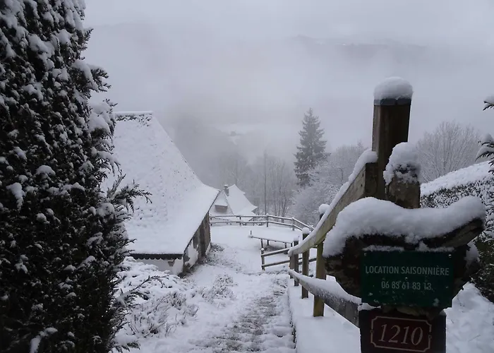 Chalet avec vue panoramique sur le Plomb du Cantal